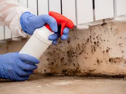 Why You Should Choose Our Mold Remediation Services in Northbrook, OH